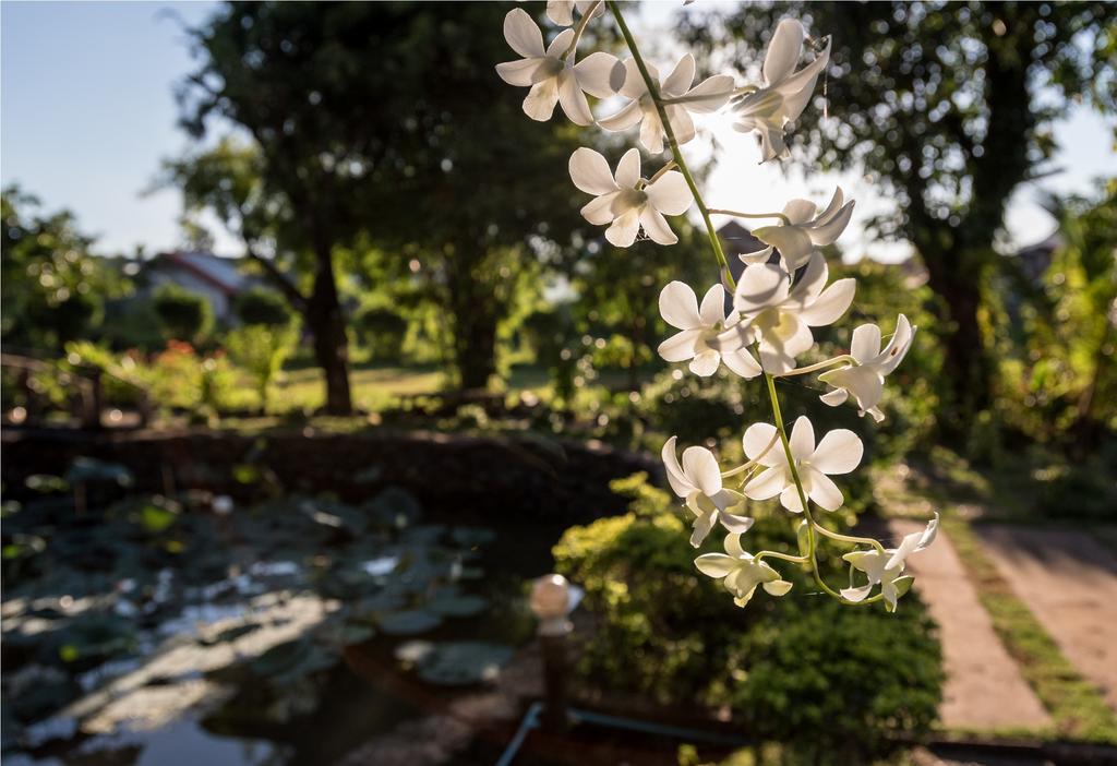 Xuanmai Garden Resort Pakse Εξωτερικό φωτογραφία